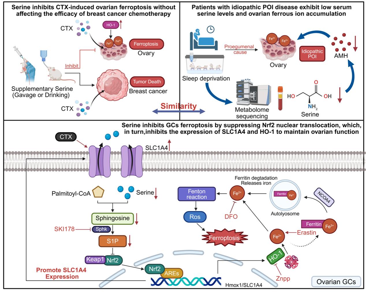 2e059efdaaa747149b28b38e9051452b.png 2e059efdaaa747149b28b38e9051452b.png